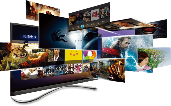 Premium IPTV Features